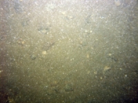 Image of seabed - photo.