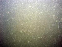 Image of seabed - photo.