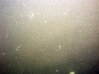 Image of seabed - photo.