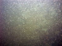 Image of seabed - photo.