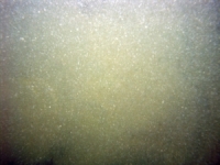 Image of seabed - photo.