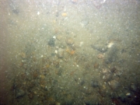 Image of seabed - photo.