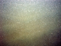 Image of seabed - photo.