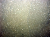 Image of seabed - photo.