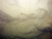 Image of seabed - photo.