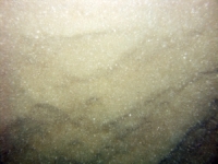 Image of seabed - photo.