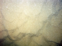 Image of seabed - photo.