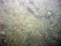 Image of seabed - photo.