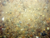 Image of seabed - photo.