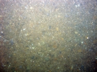 Image of seabed - photo.