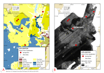 Figure 16, maps showing soft-sediment sponges overlaid on sediment phi class, and on backscatter intensity.