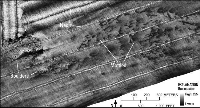 Figure 20. Sidescan-sonar image of boulders and mottled areas in the study area.