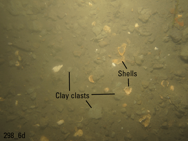 Figure 31. Photograph of the sea floor in the study area.