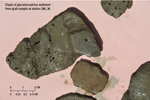 Thumbnail image of figure 24 and link to larger figure. Photograph of glaciolacustrine sediments collected in the study area.