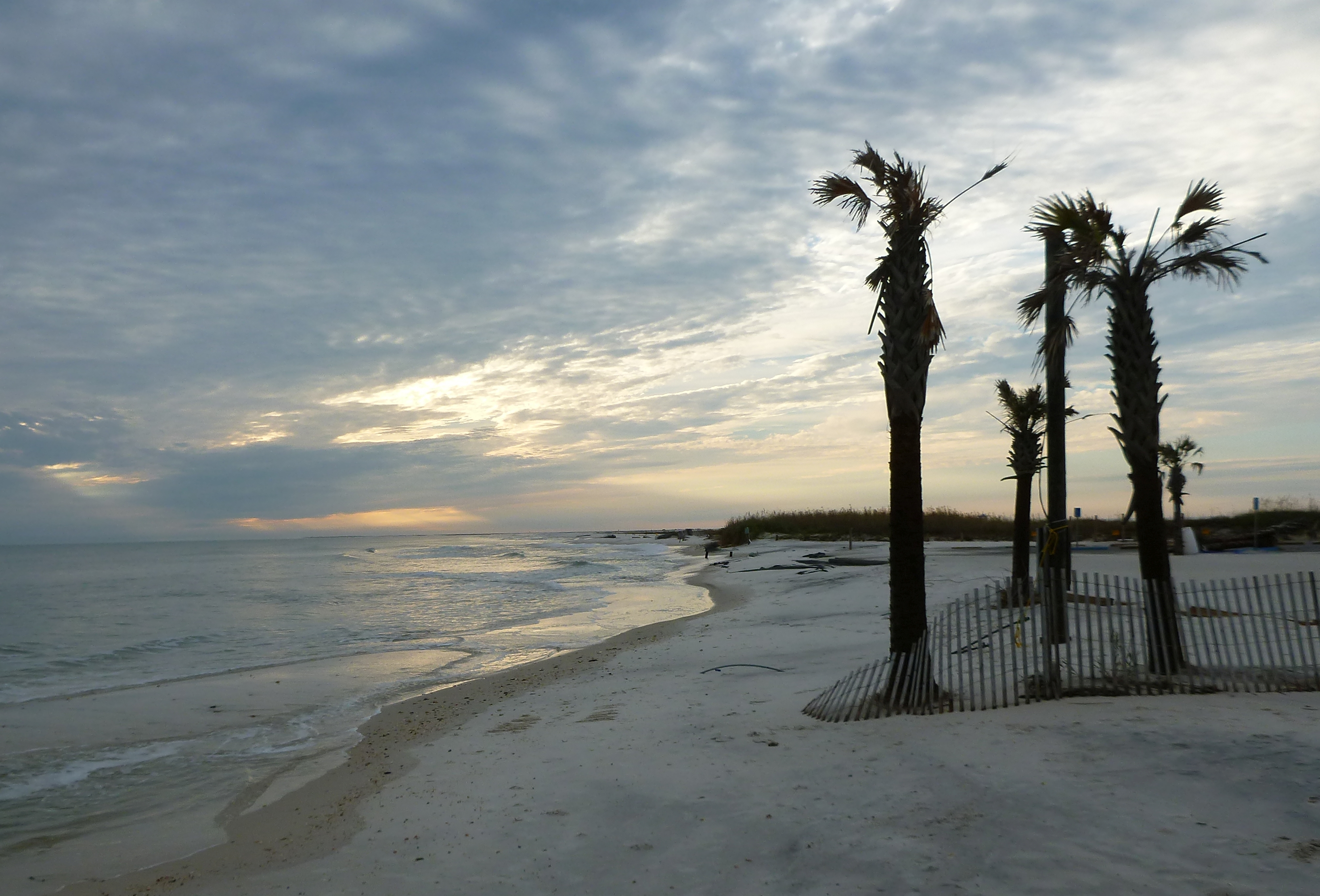 Photo of eroded beach at sunset with fence and palm trees.