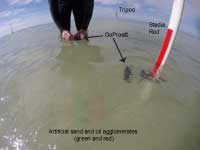 Thumbnail image for Figure 8. Shallow water deployment of artificial sand and oil agglomerates.