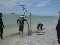 Thumbnail image for Figure 9. Swash zone deployment of artificial sand and oil agglomerates.