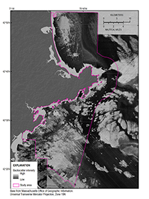 An image of backscatter for the study area at 10-meter resolution, created from a series of published backscatter images. Areas of high backscatter intensity (light tones) have strong acoustic reflections and suggest boulders, gravels, and generally coarse sea-floor sediments. Areas of low backscatter intensity (dark tones) have weak acoustic reflections and are generally of finer grained material such as muds and fine sands. Regularly spaced striping is an artifact of the surveys.