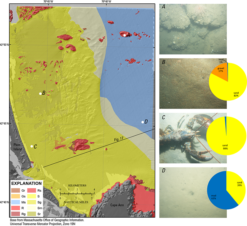 Map of inner continental shelf sediment textures between Cape Ann and New Hampshire with bottom photographs A–D showing sediment texture as defined in select locations. Grain-size statistics are plotted as pie charts showing the relative percentages of gravel, sand, and mud. Photograph A shows the sea floor within an area classified as rock and gravel (Rg). No sample was recovered in this area because of large particle size. B is a photograph of the sea floor within an area classified as primarily sand with some gravel (Sg). C is a photograph from a section of sea floor classified as primarily sand (S). D is a photograph from a section of the sea floor classified as primarily mud with some sand. The viewing frame for photographs A–D is approximately 50 centimeters, and the locations of the photographs are shown as white dots on the sediment texture map. The location of the seismic-reflection profile in figure 17 is also indicated by the black line.