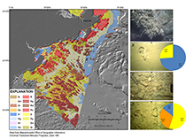 Map of inner continental shelf sediment textures within western Massachusetts Bay with bottom photographs A–D showing sediment texture as it is defined in select locations. Grain-size statistics are plotted as pie charts showing the relative percentages of gravel, sand, and mud. A is a bottom photograph of the sea floor within an area classified as rock (R). No sample was recovered in this area because of large particle size. B is a photograph of a section of sea floor classified as primarily mud with sand (Ms). C is a photograph from a section of sea floor classified as primarily gravel with rock (Gr). No sample was recovered in this area because of large particle size. D is a photograph from a section of the sea floor classified as primarily sand and gravel (Sg) with some mud. This photograph is located near the boundary of a Sg and Gs texture transition. The viewing frame for photographs A–D is approximately 50 centimeters, and the locations of the photographs are shown as white dots on the sediment texture map.