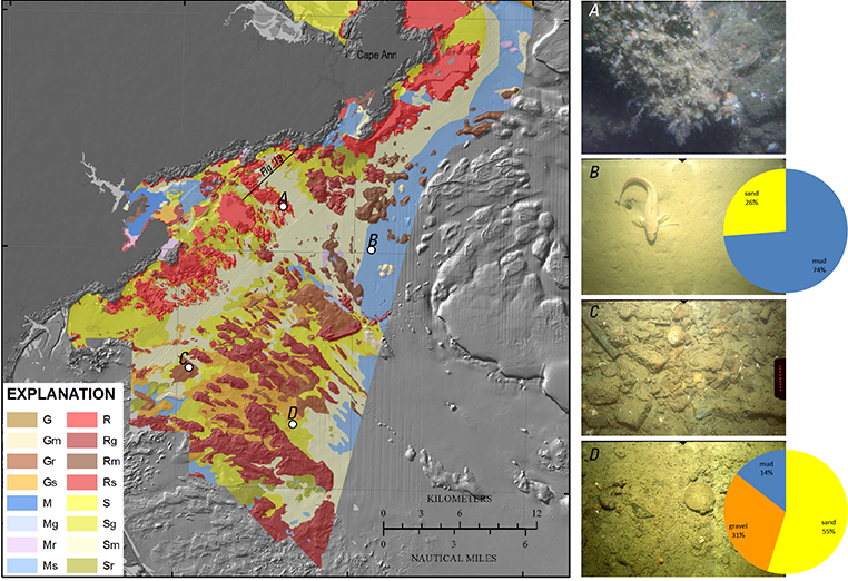 cover image of sediment texture distribution within western Massachusetts Bay