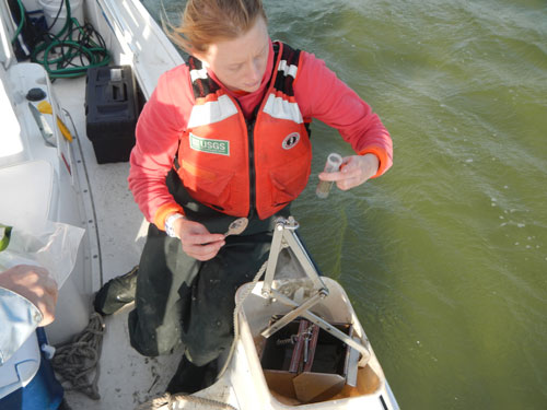 Photo showing subsampling of Ponar grab surficial sediment into a centrifuge tube