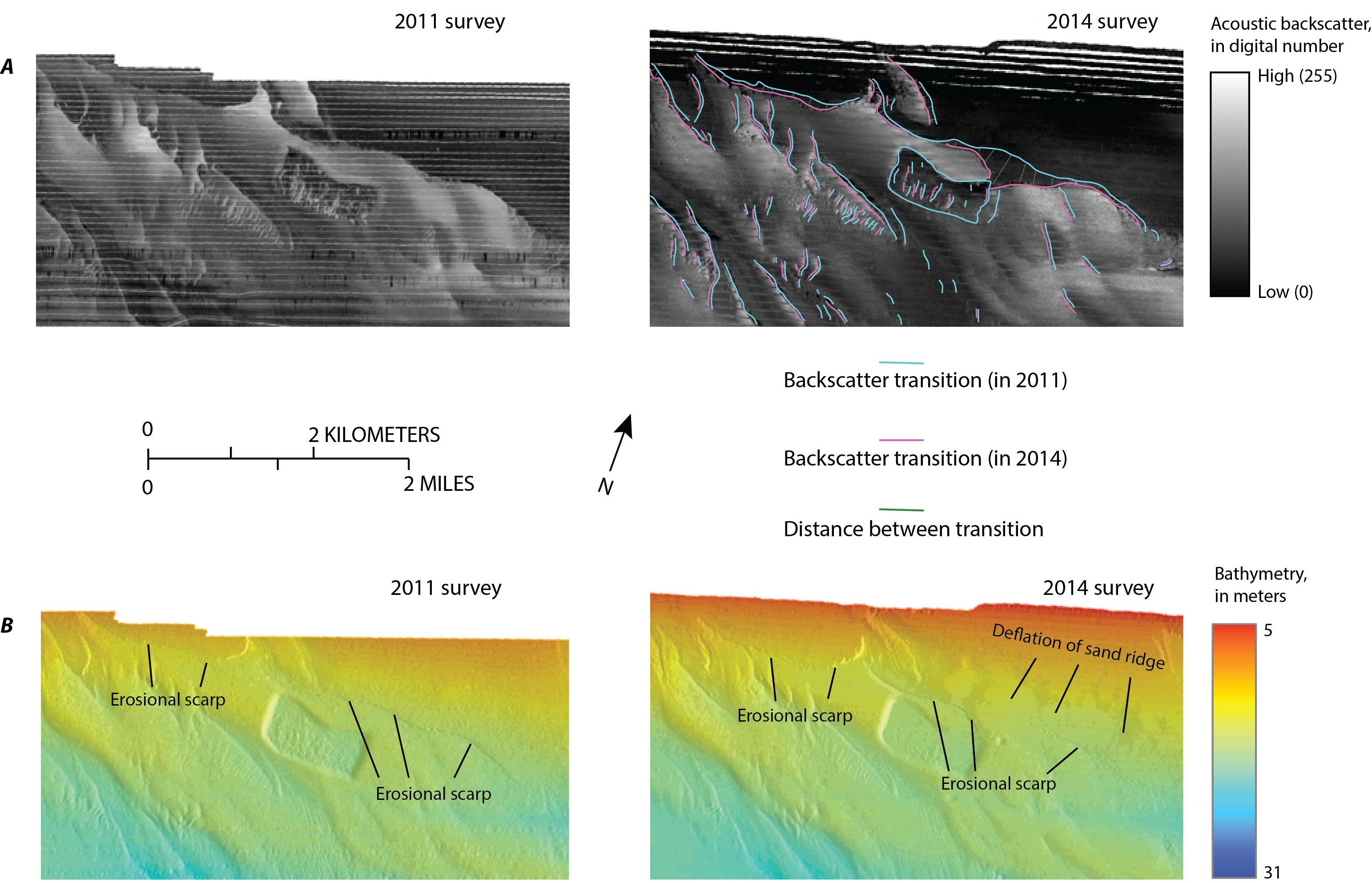 Map showing backscatter and bathymetry collected in 2011 and 2014 offshore of Fire Island, New York. Sharp transitions between areas of high and low backscatter identified alon ghte margins of discrete sediment distribution patterns, bedforms and sediment structures from the 2011 and 2014 surveys are overlain on the backscatter data from 2014 survey.