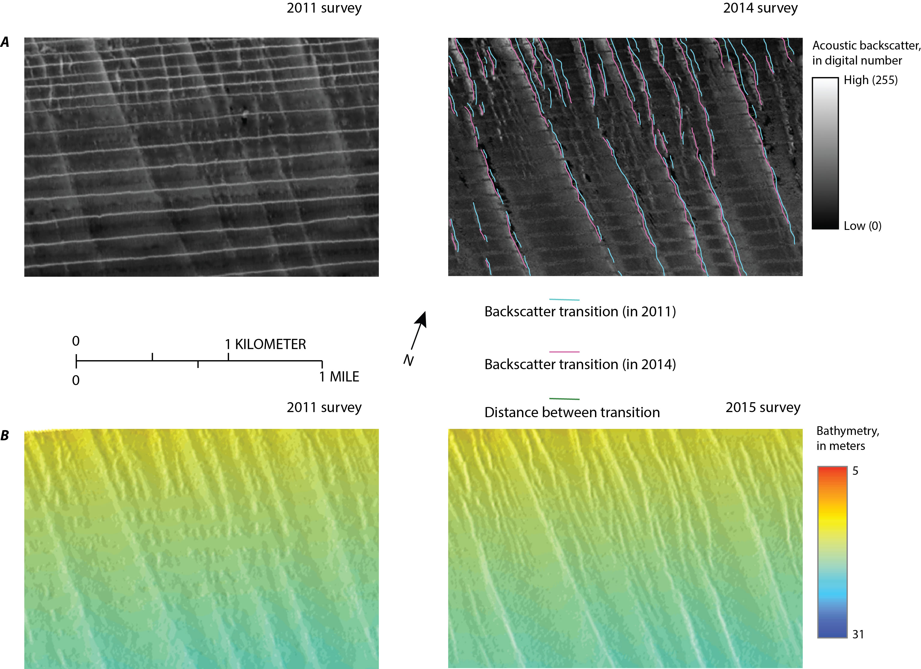 Map showing backscatter and bathymetry collected in 2011 and 2014 offshore of Fire Island, New York. Sharp transitions between high and low backscatter identified along the margins of discrete sediment distribution patterns and sedimentary structures form the 2011 and 2014 surveys are overlain on the backscatter data from the 2014 survey.