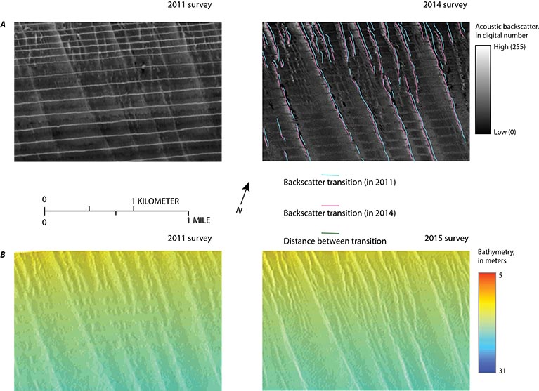 Map showing backscatter and bathymetry collected in 2011 and 2014 offshore of Fire Island, New York. Sharp transitions between high and low backscatter identified along the margins of discrete sediment distribution patterns and sedimentary structures form the 2011 and 2014 surveys are overlain on the backscatter data from the 2014 survey.