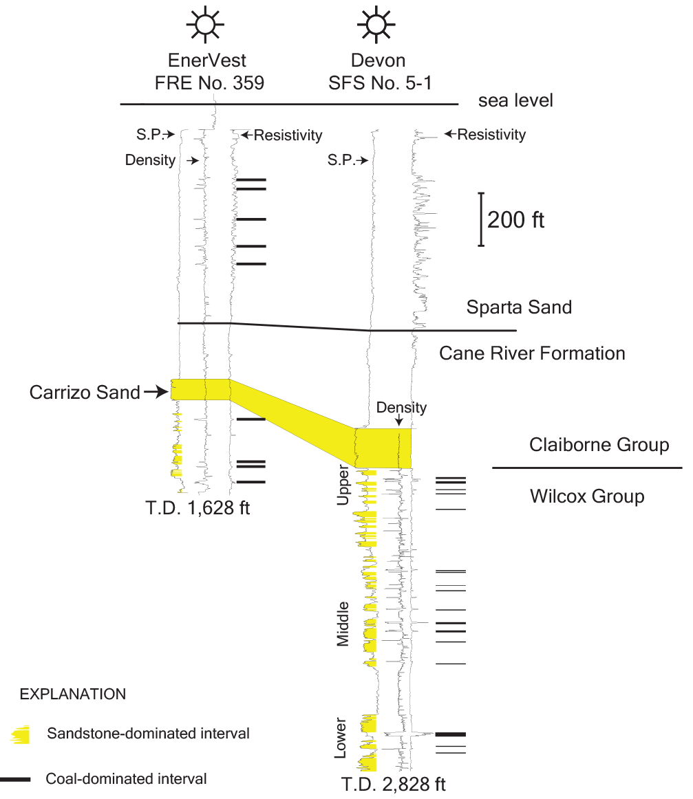 Sandstone-dominated intervals shown in yellow and coal-dominated intervals shown in
                        black.