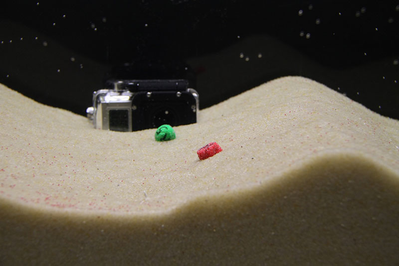 GoPro© camera deployed in the oscillatory flow tank in the trough of the rippled sand bed.  Also in view are round (green) and ellipsoidal (red) 2.5 cm aSOAs.