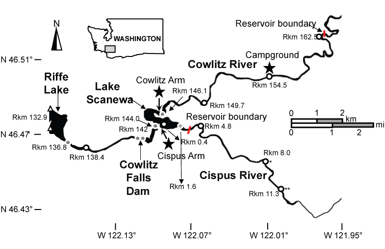 Figure 1. Map showing locations of fixed radio telemetry monitoring sites used only
                        in 2013, fixed radio telemetry sites used in 2013 and 2017, fixed radio telemetry
                        sites used in 2017, and locations where radio-tagged rainbow trout were released,
                        upper Cowlitz River Basin, Washington.