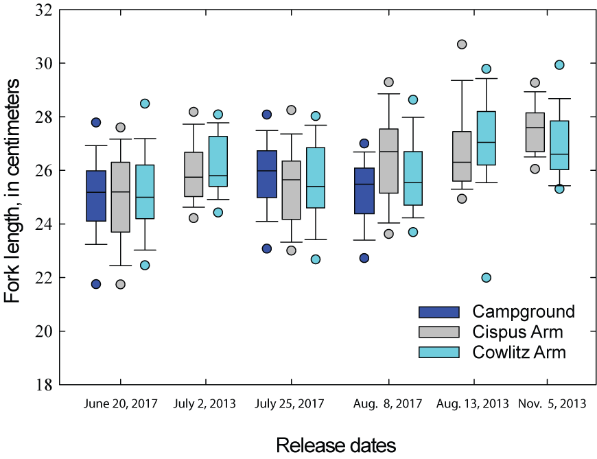 Figure 2. Graph showing radio-tagged hatchery rainbow trout fork lengths by date and
                        release location in the upper Cowlitz River Basin, Washington, 2013 and 2017.