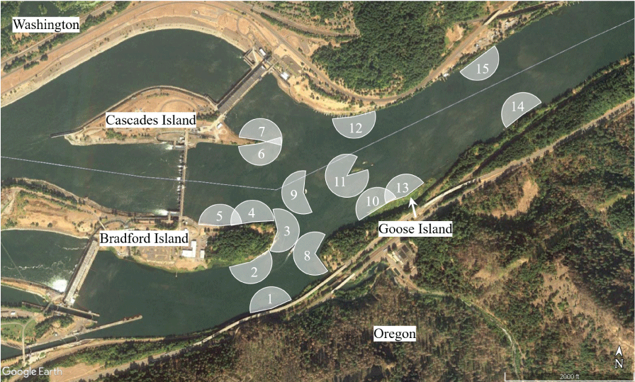 Satellite image showing locations of acoustic telemetry monitoring sites and approximate
                        detection ranges in the forebay of Bonneville Dam, Columbia River, Oregon, from August
                        to December 2020.