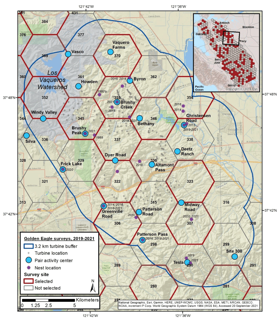 Map showing the distribution of activity center locations for territorial pairs of
               Golden Eagles detected within 3.2 kilometers of historical and current wind turbines
               at the Altamont Pass Wind Resource Area, California, from 2019 to 21.