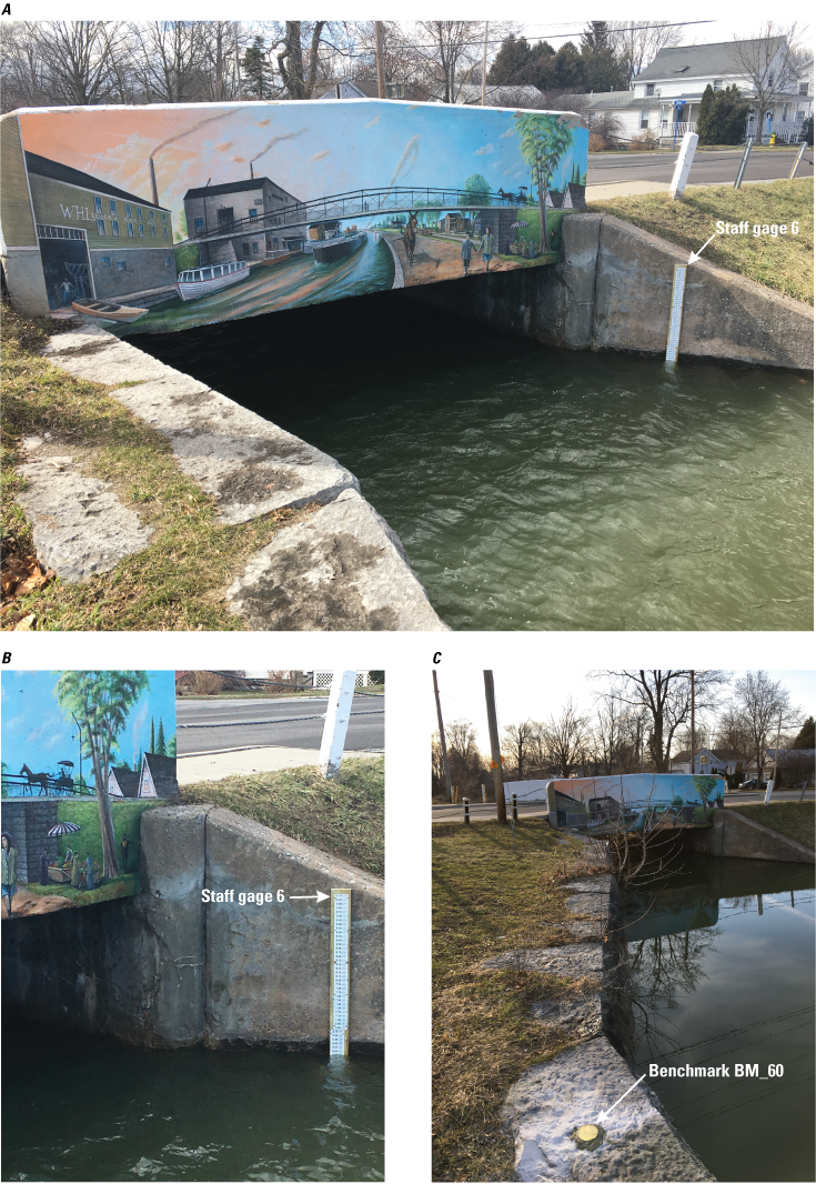 The staff gage is in the water, attached to the wing wall of the bridge. The bridge
               has a peaceful mural painted on it, featuring a historic version of the canal with
               a mule towing a barge as the sky turns to sunset. The benchmark is located about 20
               feet away on the canal bank wall.