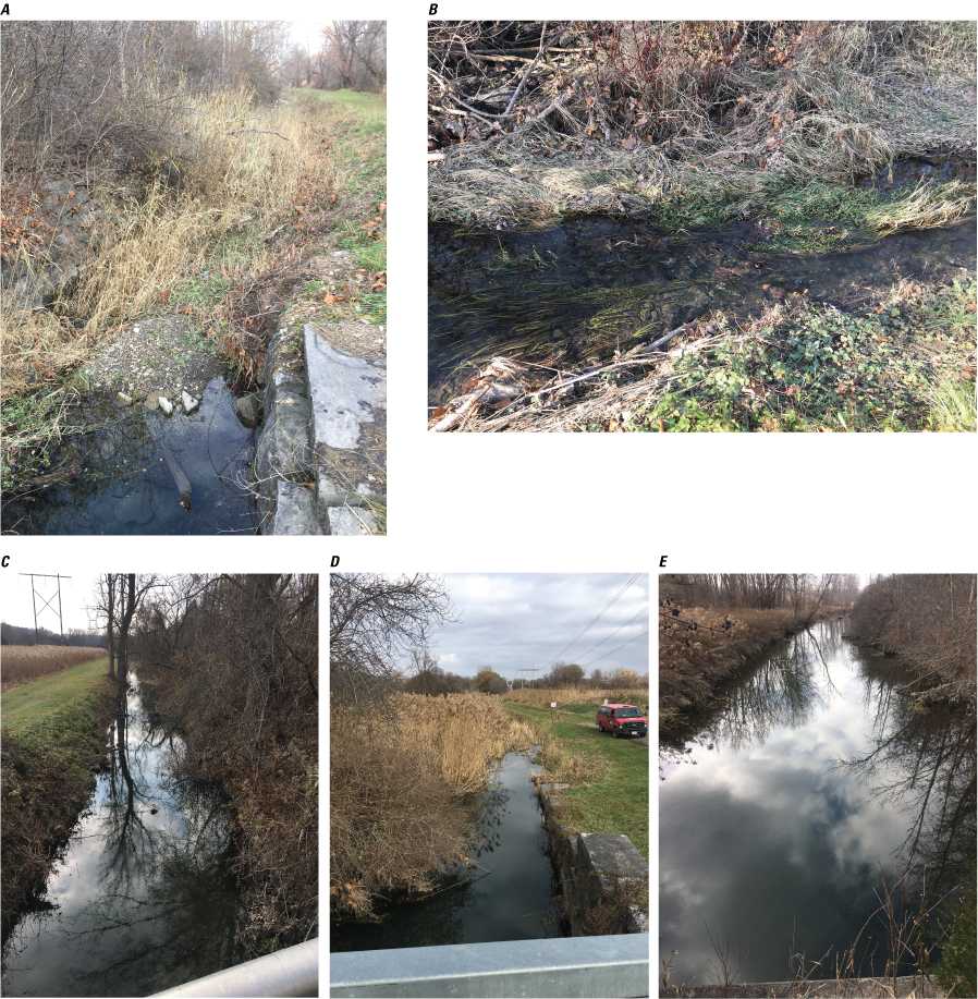 The feeder starts with no visible flow in an overgrown ditch. At each point the flow
               becomes stronger until the feeder’s channel is about fifteen feet wide.