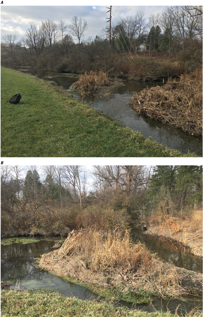 Meadow Brook emerges from wooded suburbs and intersects with Butternut feeder perpendicularly.
               An island of sediment and marsh grass is at the intersection which is blocking flow
               from Butternut Feeder.