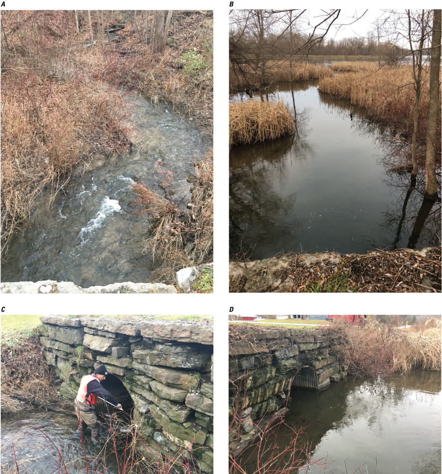 A small stream burbles down to the culvert, where it then meets a calm, ponded body
               of water full of marsh grass. A scientist wearing a life vest and waders stands in
               the water and measures the culvert.