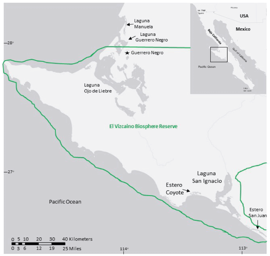 Map showing the locations of the six embayments that were assessed for seagrass distribution
                        and spatial extent along the central Pacific coast of Baja California, Mexico.