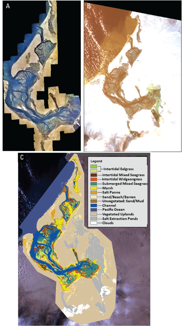 Aerial imagery showing the spatial extent of seagrasses and other cover types in Lagunas
                     Ojo de Liebre, Guerrero Negro, and Manuela, Baja California, Mexico.