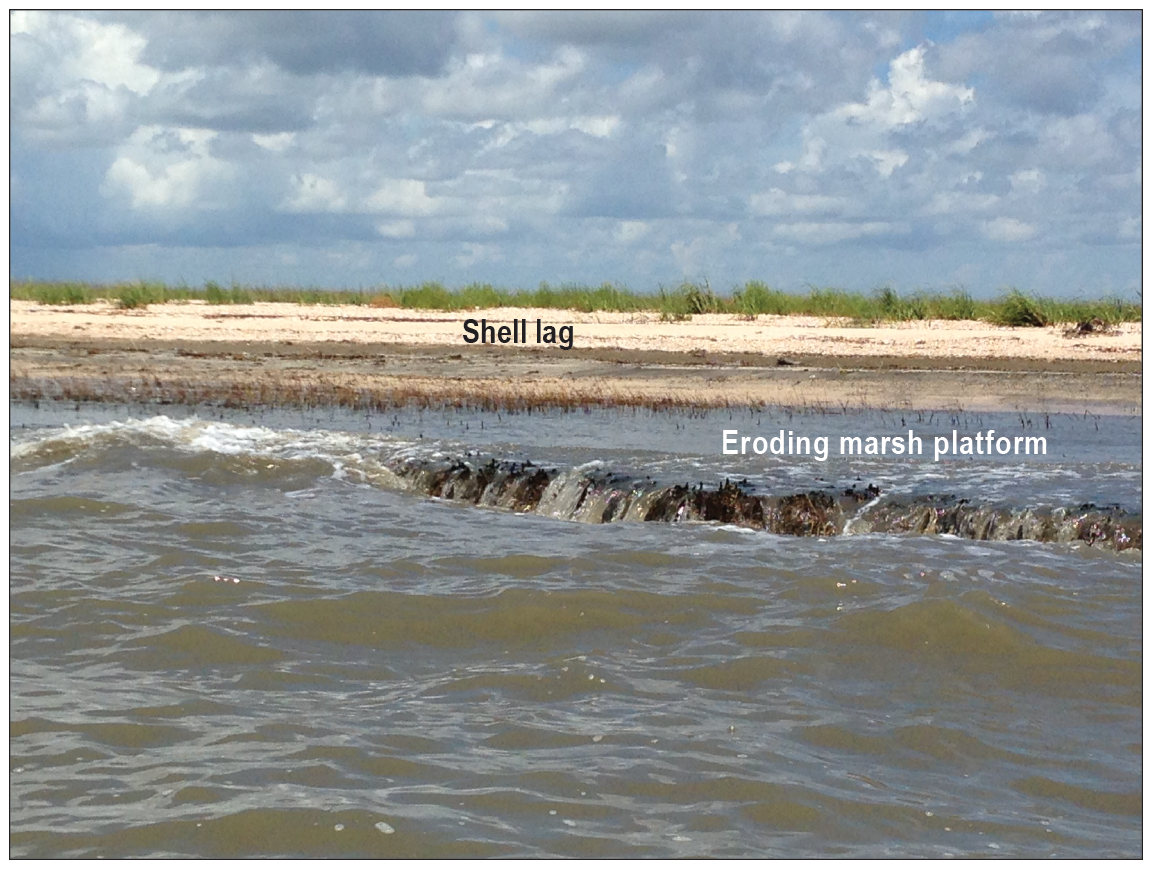 Figure 2. Labels in the photograph identify the “eroding marsh platform” and “shell
                     lag.”