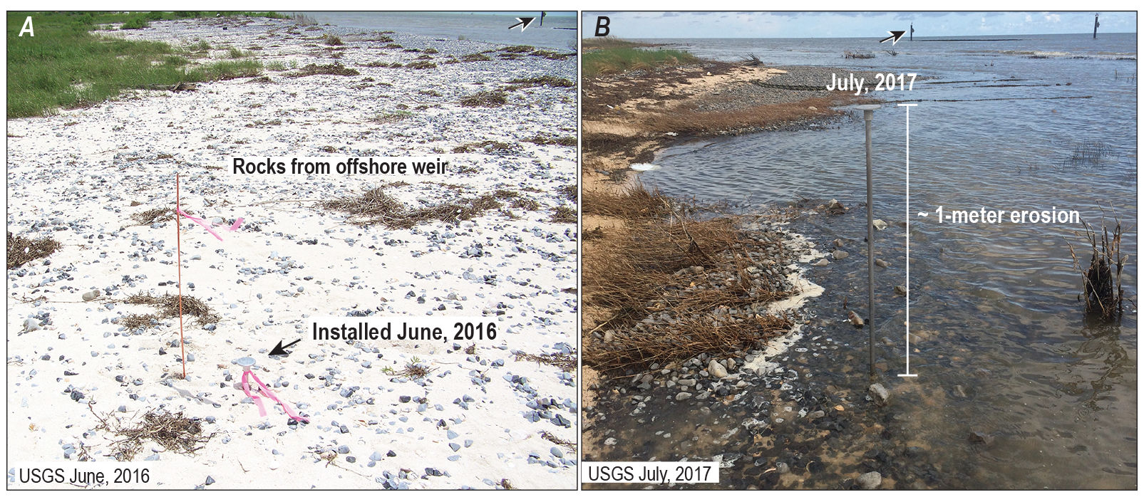 Figure 4. Photograph labels show the dates and indicate “rocks from offshore weir.”
                     The benchmark rod-protrusion length is also marked.