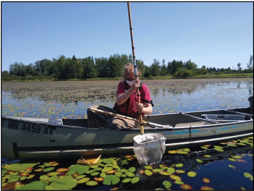 A scientist sits in a canoe holding a dip net perpendicular to the water after collecting
                        a sample.