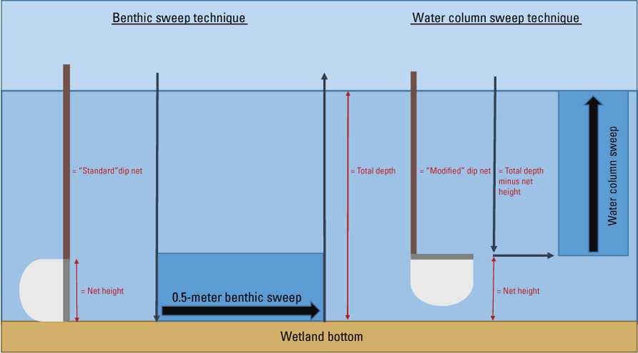 A conceptual diagram showing an underwater cross section and the zones to be sampled
                        with each dip net.