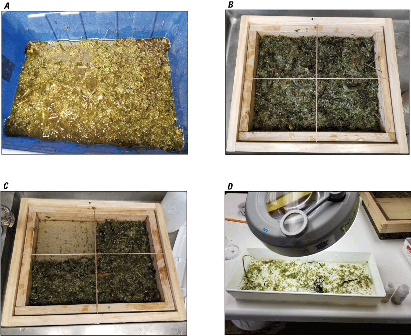 Tub of benthic materials, mixture of benthic materials spread on subsampling sieve,
                        and materials suspended in water.