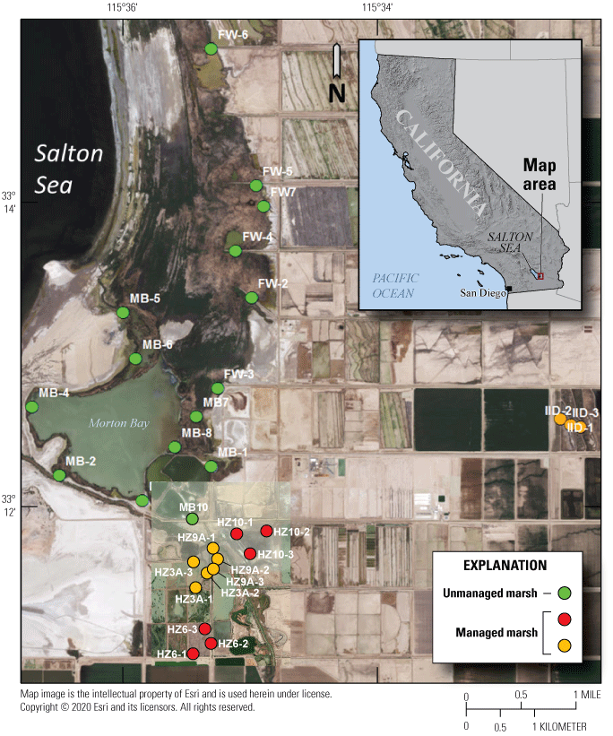 2. Sampling points occupying managed and unmanaged marshes shown on a map