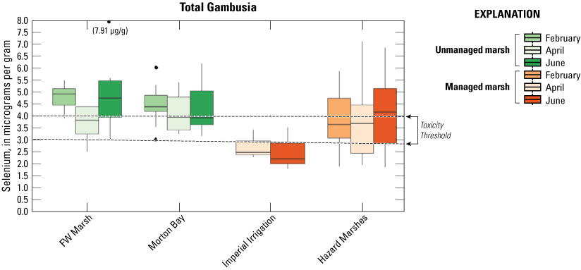 8. Distribution of total selenium concentrations in mosquitofish shown on boxplots.