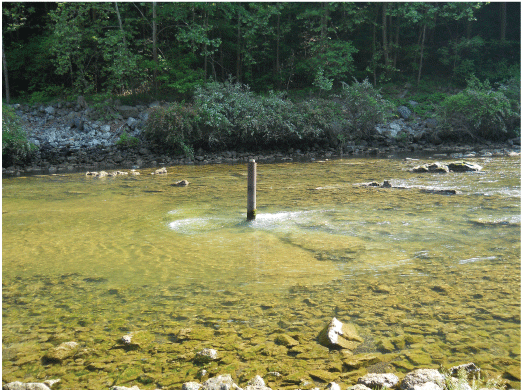 Figure 1. Photograph showing pipe placed at spring upwelling in the middle of Jackson
                     River.