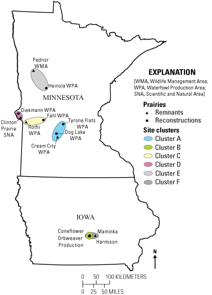 Map showing remnant and reconstruction prairies and site clusters in Minnesota and
                     Iowa. Most sites are in Minnesota.
